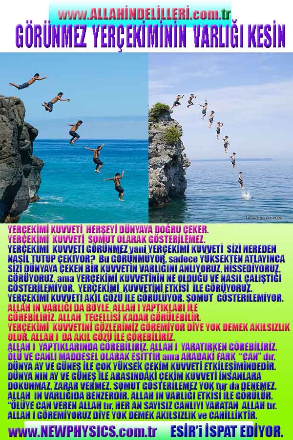 Allahin Delilleri2