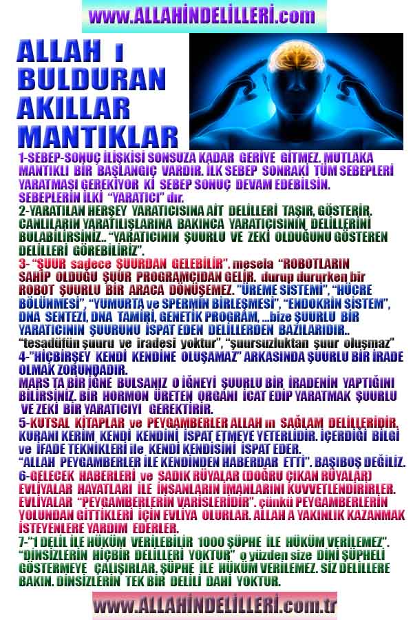 Allahin Delilleri1